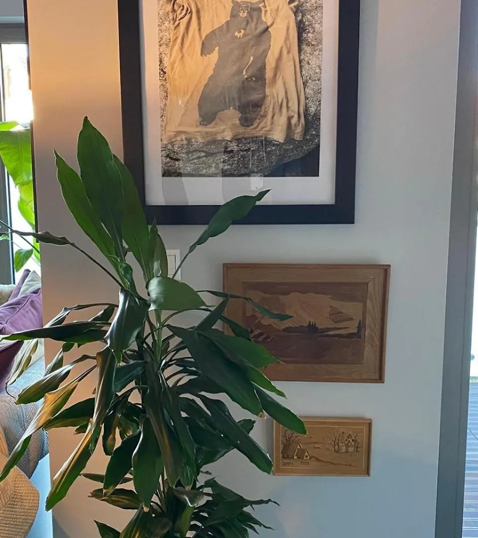 Apartmán Travellers Oasis Krakov
